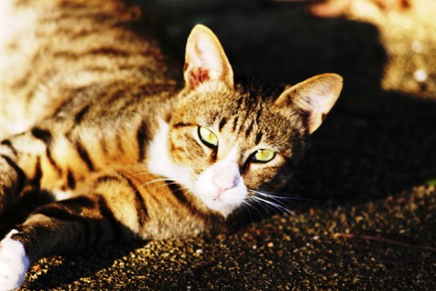 _MG_6914_DxO02_FP_FP02