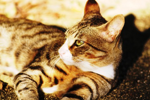 _MG_6923_DxO02_FP_FP02